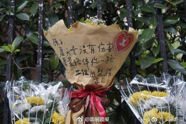 英足总高层：没必要扩大VAR的权限，当前模式干扰够多了